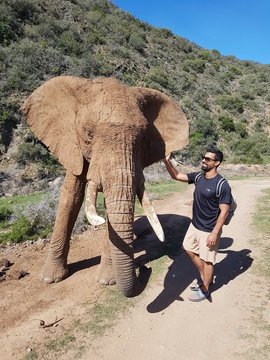 Indalu Game Reserve, ECASA, Elephant Care Association of South Africa