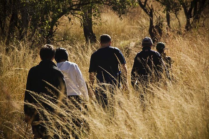 Nature Walks on Safari in South Africa | Adventure Travel & Tour Vacations | African Safari Collective |  Three Tree Hill Lodge - safari and game lodge experiences kwazulu-natal, south africa