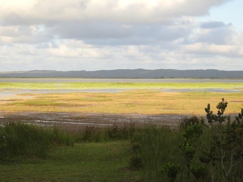Lake St Lucia was no more than 1 meter deep during the drought.