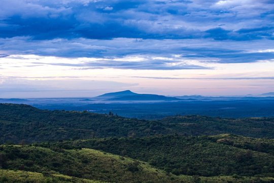 The rainforest covered landscape of Kibale National Park, Uganda.