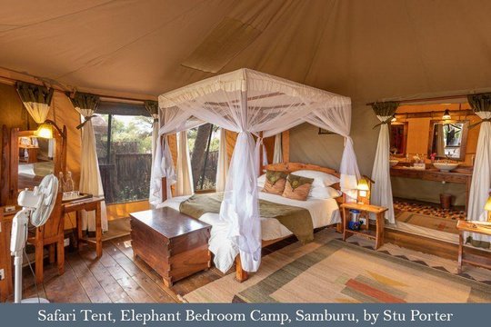 Luxury safari tent at Elephant Bedroom