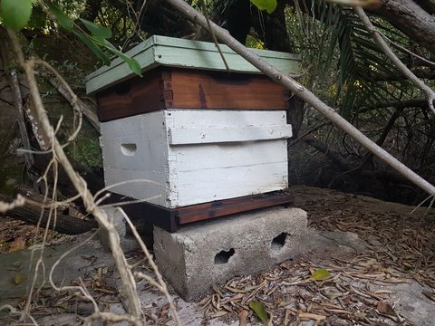 Andrew Morrisons Bee Hive at the Crab House at Makakatana Bay Lodge, KZN