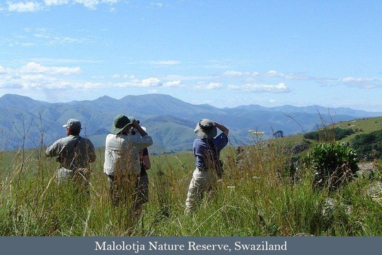Safari tour participants in Malolotja Game Reserve, eSwatini