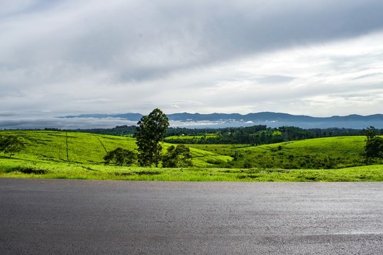 Rolling hills covered in tea fields, Uganda