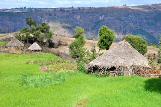trekking in the simien mountains