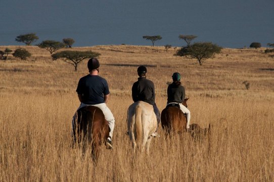 Horse riding an activity to enjoy whilst on a family safari holiday at Three Tree Hill Lodge, KZN, South Africa.