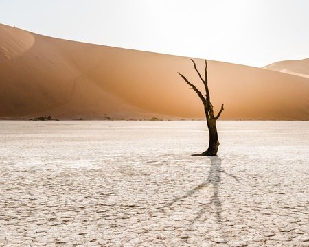 The iconic Sossusvlei in Namibia