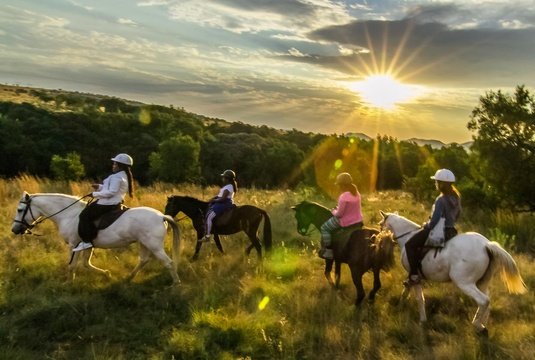 Sunset Horseback safari at Harties Horse Trail Safaris