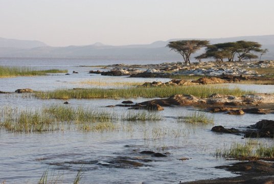 Relaxing at Lake Langano Ethiopia