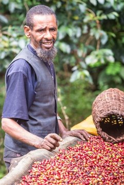 Coffee farmers visits