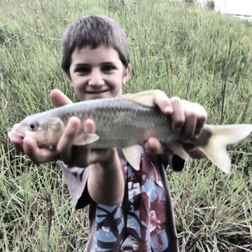 Fishing with the children an activity to enjoy whilst on a family safari holiday at Three Tree Hill Lodge, KZN, South Africa.