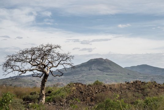 Awash National Park, Home of the endemic birds of Ethiopia