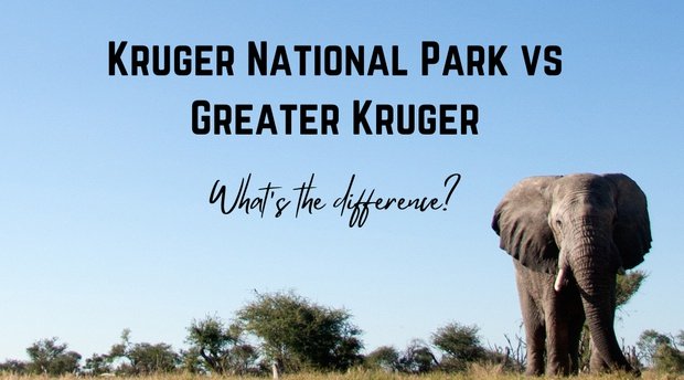 Kruger National Park vs Greater Kruger