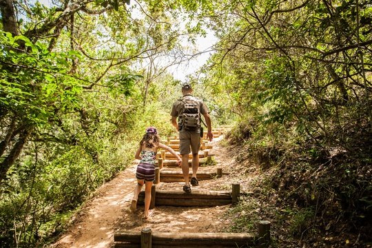 Family walks, Safari and Game Lodge South Africa