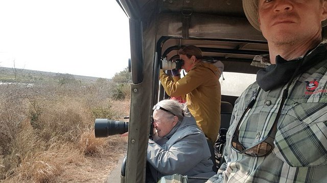Photographing Lionesses and cubs. 
