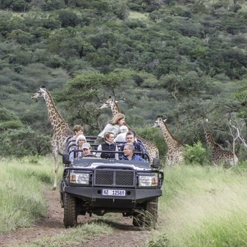 On a Family Safari Holiday at Leopard Mountain in KZN, South Africa.