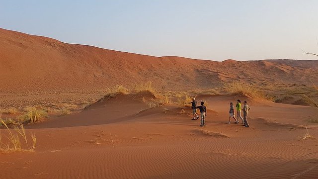 Looking for Dune Lark, Namibia