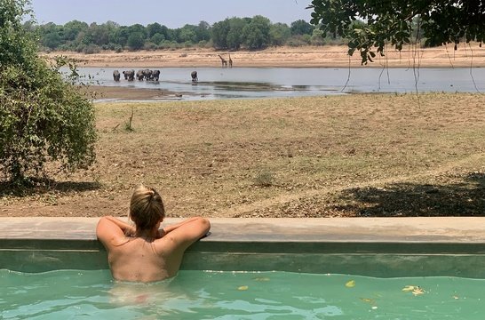 Amazing view from the pool with daily crossing elephants, giraffes, buffalos etc.