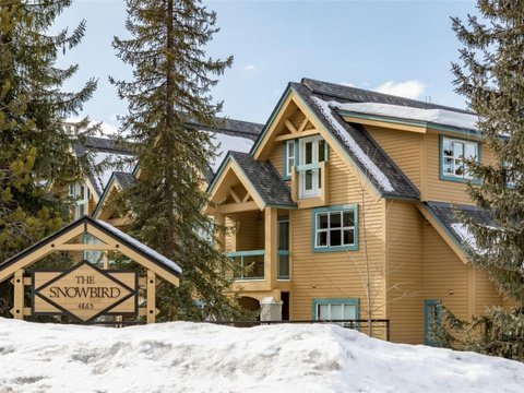 Snowbird Whistler, Whistler ski in ski out vacation rentals