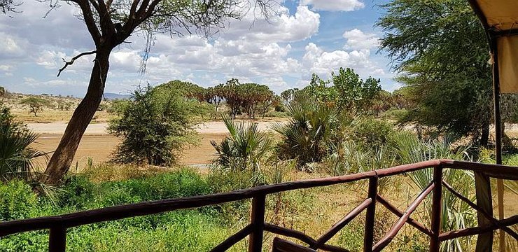 View of the unusually dry Ewaso Nyiro river from the tent in April 2019
