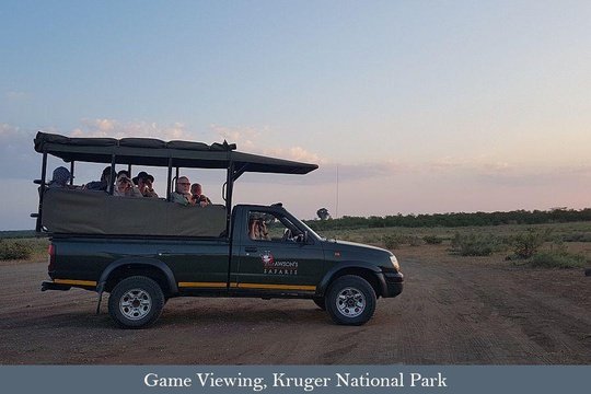 Safari tour participants on the Kruger