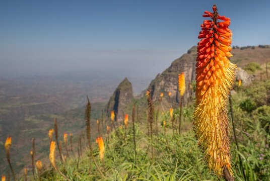 Hiking in Simien Mountains during Easter holiday