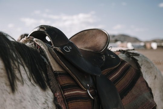 saddle up horse flying luxury safari namibia holiday journey adventure planning upgrade facelift