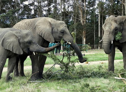 Nature and wildlife