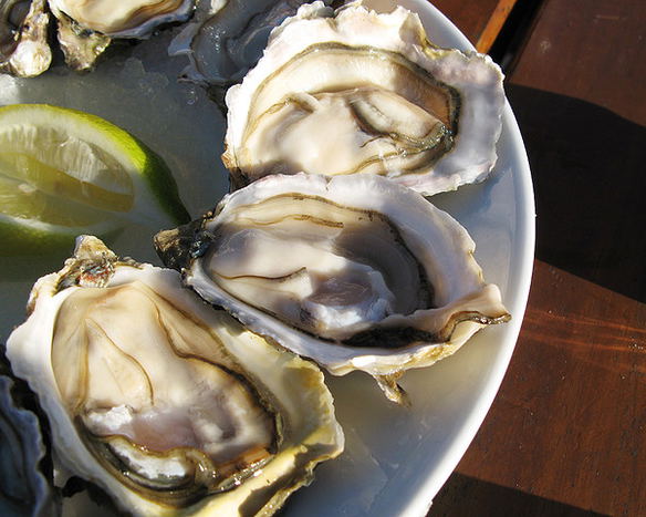 Knysna Events