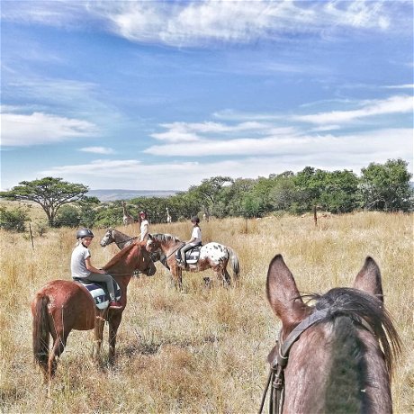 Horseriding on a Safari in South Africa | Adventure Travel & Tour Vacations | African Safari Collective | Lodges 