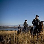 guided horse trail riding at three tree hill game and safari lodge in spioenkop kwazula natal south africa