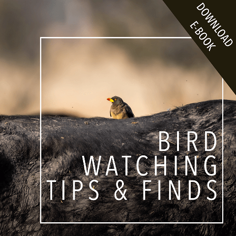 Enter your email address to download our Birding e-Book.