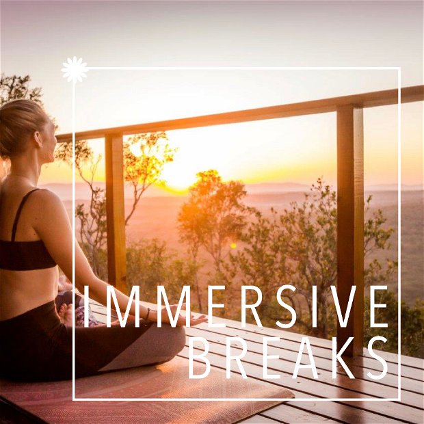 Immersive Breaks at the best safari lodges in South Africa Immersive Breaks at the best safari lodges in South Africa