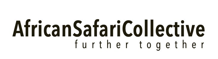 South African Safari Lodge Holidays | African Safari Collective