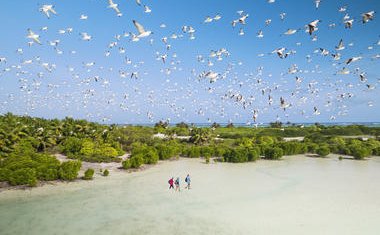 ecotourism makakatana bay lodge safari and beach south africa