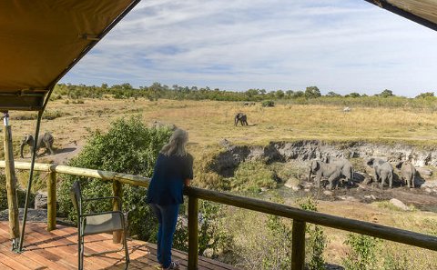safari holiday in hwange national park in Zimbabwe
