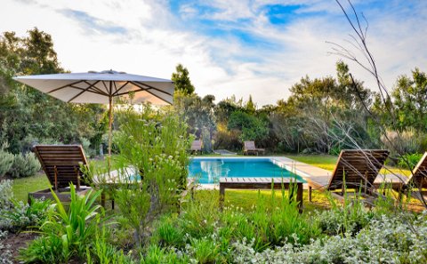 Ecotourism safari lodges experiences in South Africa at Fairview House, Plettenberg Bay