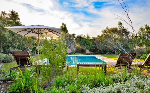 Ecotourism safari lodges experiences in South Africa at Fairview House, Plettenberg Bay