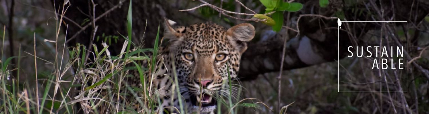 African Safari Collective | Safari and Game Lodges | South Africa