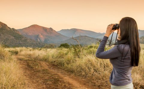 ecotourism guest reviews safari and game lodges