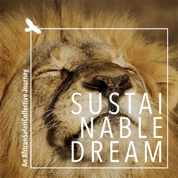 sustainable travel and tourism, responsible travel with African Safari Collective in safari and game lodges with a commitment to sustainability