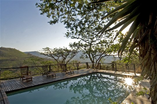 Ecotourism at three tree hill safari lodge in kwazulu-natal south africa