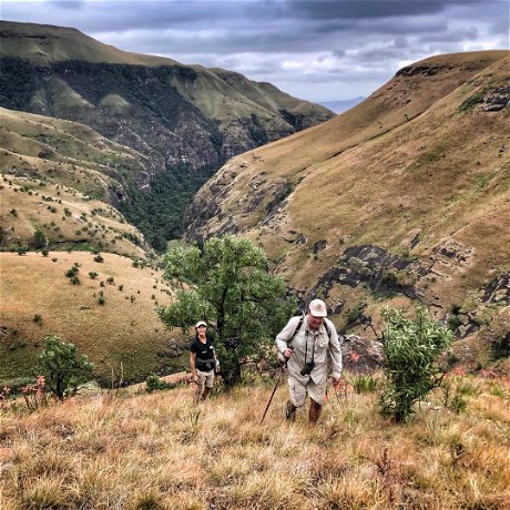 guided game walks from three tree hill game and safari lodge in the drakensberg hiking kwazulu natal south africa 