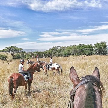 Horse riding, Safari and Game Lodge South Africa