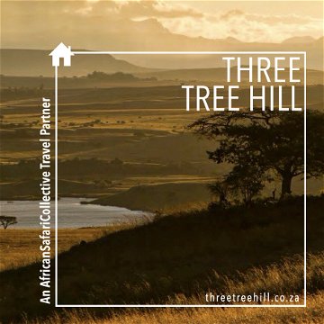 South African Safari Tours | African Safari Collective | Three Tree Hill | KwaZulu-Natal | Self-Catering or Full Board Safari