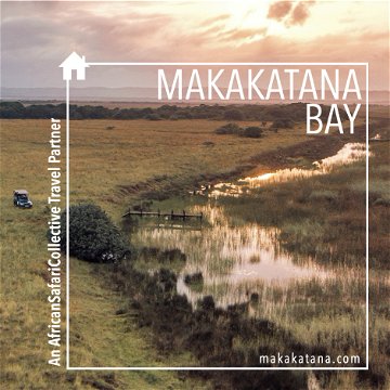South African Safari Tours | African Safari Collective |  Makakatana Bay Lodge | KwaZulu-Natal | Lake St. Lucia | Full Board Safari