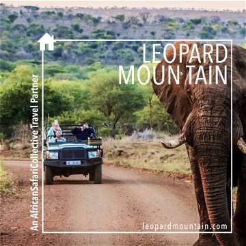 South African Safari Tours | African Safari Collective | Leopard Mountain | KwaZulu-Natal | Full Board Safari | 5 Star Safari Lodge