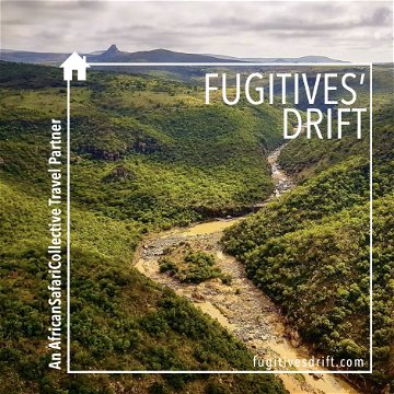 African Safari Collective | Fugitives Drift Lodge | KwaZulu-Natal | Self-Catering or Full Board Accommodation