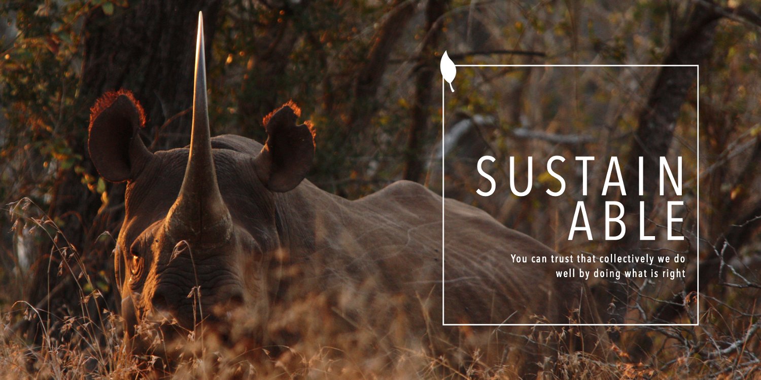Committed to Sustainable Practices | South African Safari Lodge Holidays in South Africa | African Safari Collective