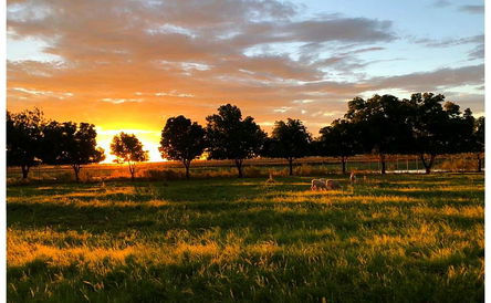 Where the Karoo meets the Marshes